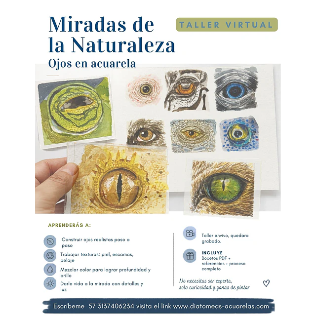 Taller virtual Miradas de la naturaleza