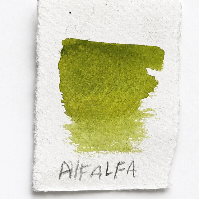 Acuarela premium individual