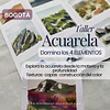 Taller Bogotá Domina los 4 Elementos en Acuarela