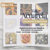 Taller Bogotá Domina los 4 Elementos en Acuarela