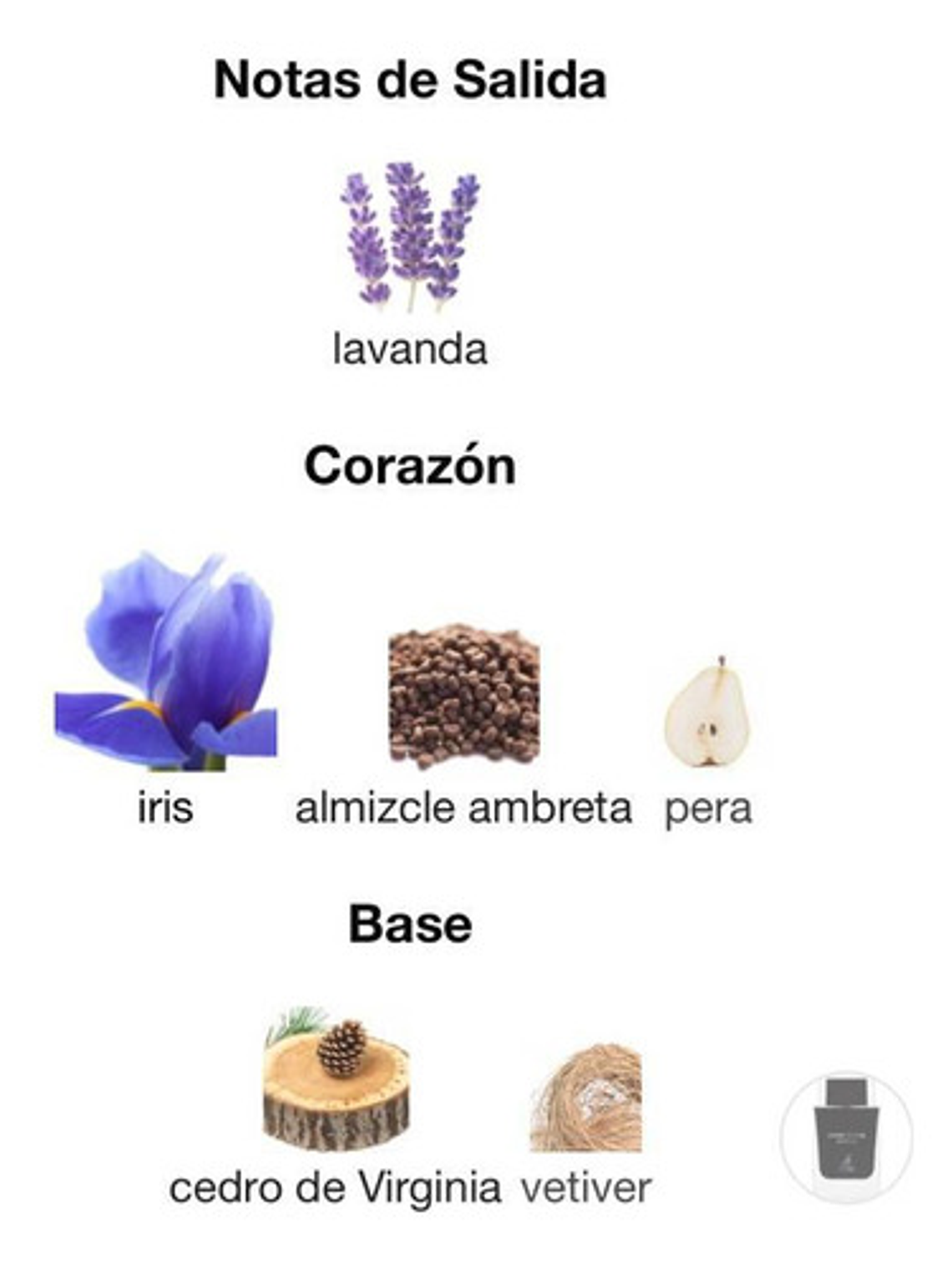 Maison Alhambra Dark Door Intense Edp 100ml Hombre Original 3