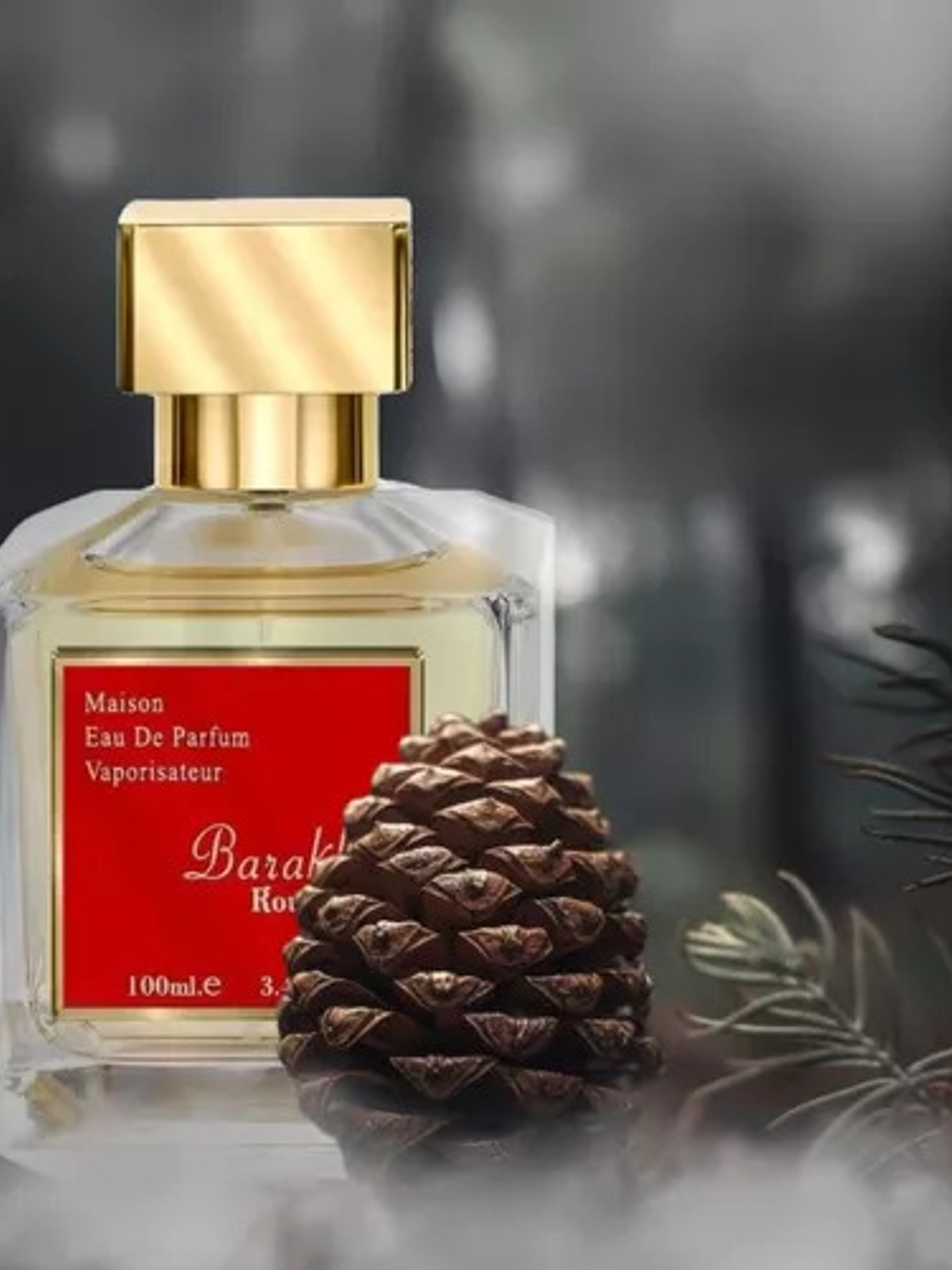 Perfume Fragrance World Barakkat Rouge 540 Maison 100ml Unisex 2