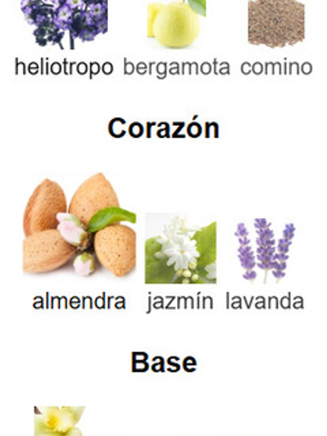 Perseus Maison Alhambra Edp 100 Ml Perfume Hombre Original 3