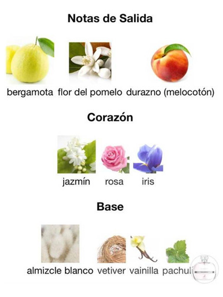 Chants Tenderina Maison Alhambra Edp 100ml Mujer Original 4