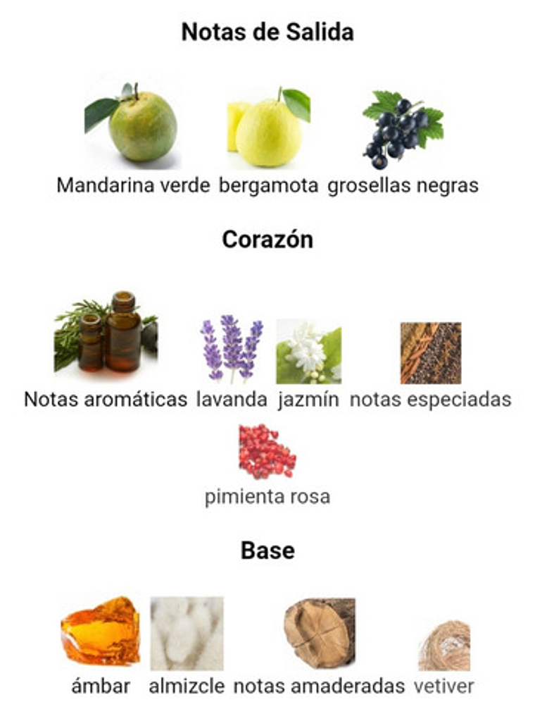 Maison Alhambra Sceptre Malachite Edp 100ml Unisex Original 3