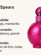 Britney Spears Fantasy Edp 100 Ml Perfume Mujer Original - thumbnail 7