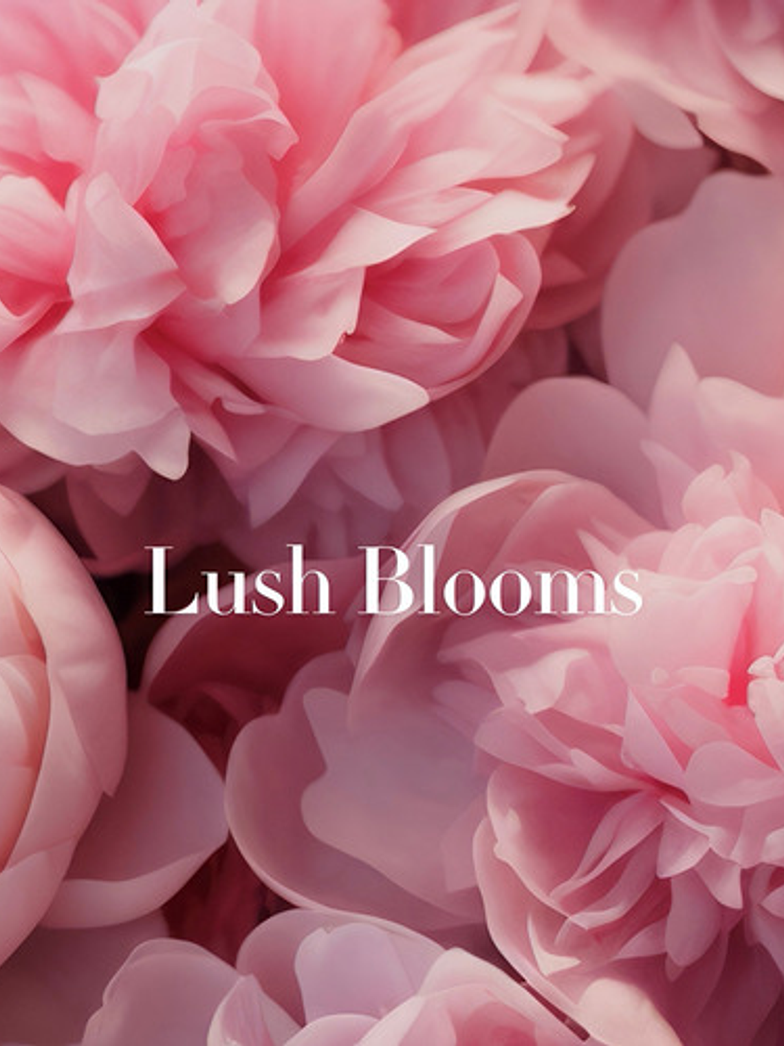 Splash Mujer Velvet Petals Victoria's Secret Floral 250ml 12