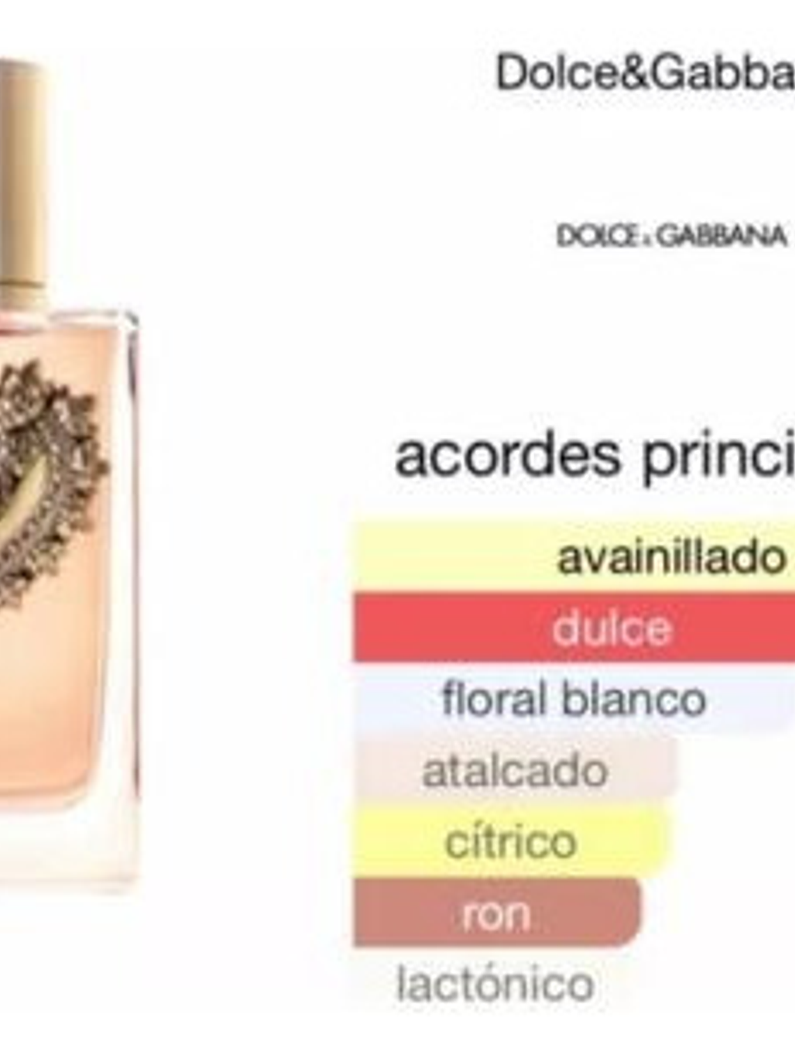 Devotion Edp 100 Ml Dolce & Gabbana Perfume Original 2