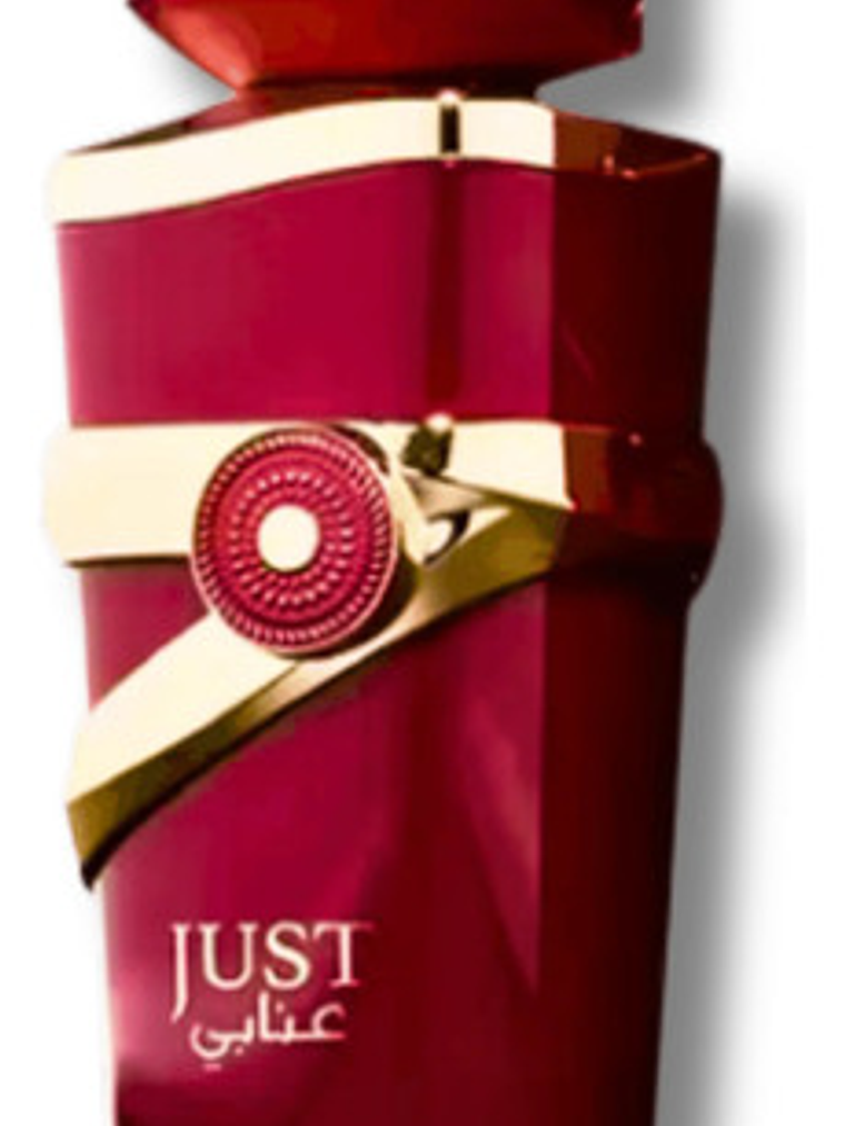 Fragrance World Just Anabi Eau De Parfum Mujer 100ml 4