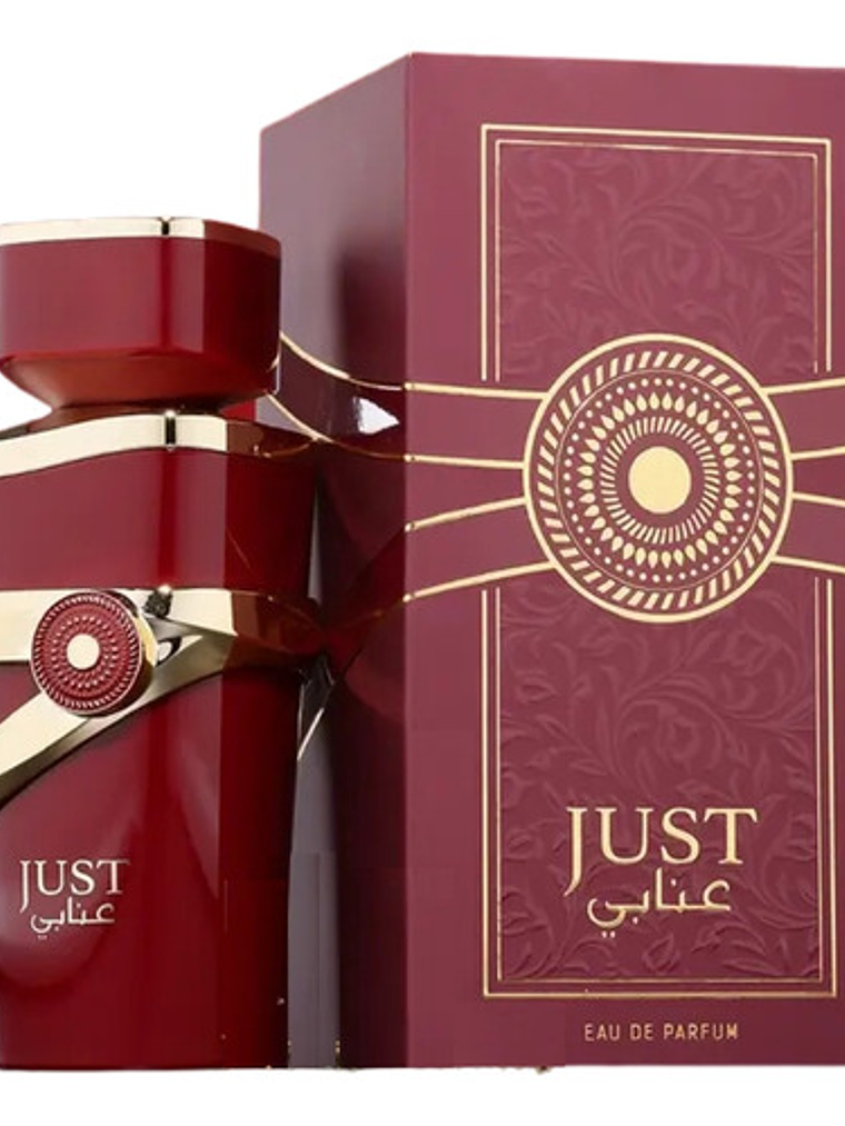 Fragrance World Just Anabi Eau De Parfum Mujer 100ml 2