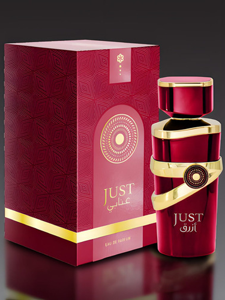 Fragrance World Just Anabi Eau De Parfum Mujer 100ml 3