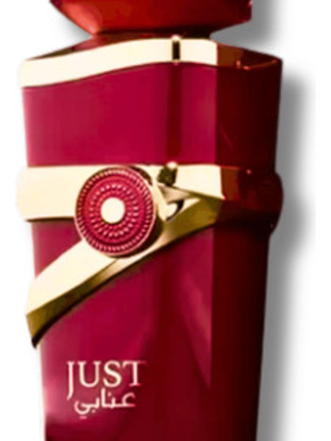 Fragrance World Just Anabi Eau De Parfum Mujer 100ml 4