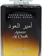Fragancia Lattafa Ameer Al Oudh Eau De Parfum 100ml Unisex - Miniatura 2