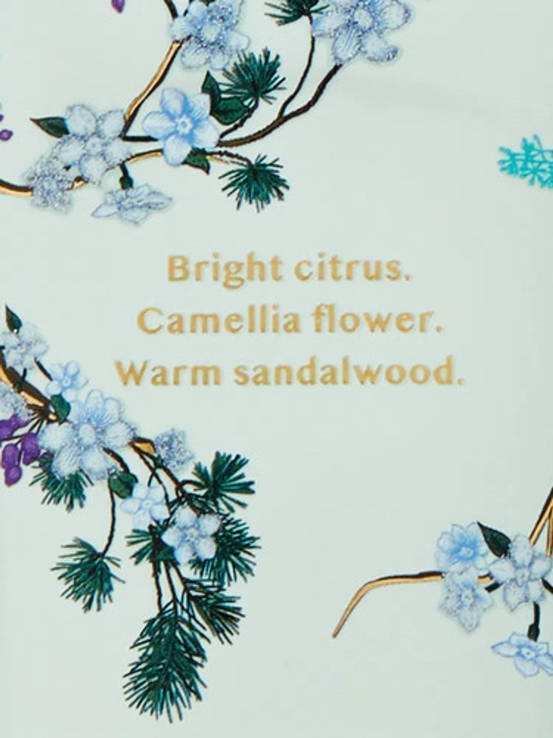 Loción Victoria's Secret Wonderland Woods - Edición Limitada 2