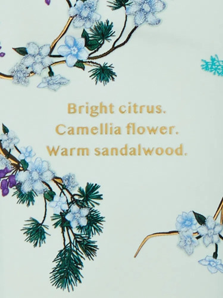 Loción Victoria's Secret Wonderland Woods - Edición Limitada 2