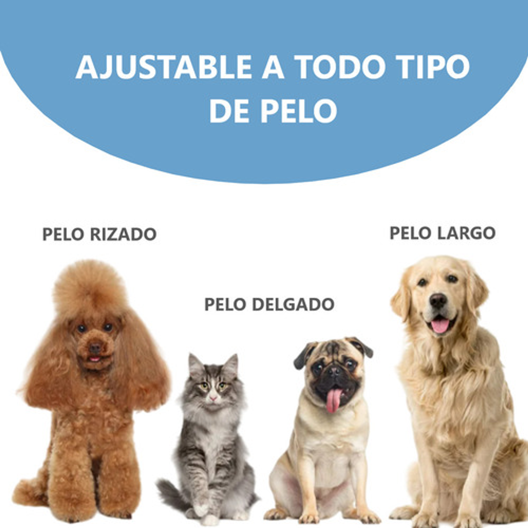 Maquina Inalambrica Corta Pelo Kit Completo Mascota 5