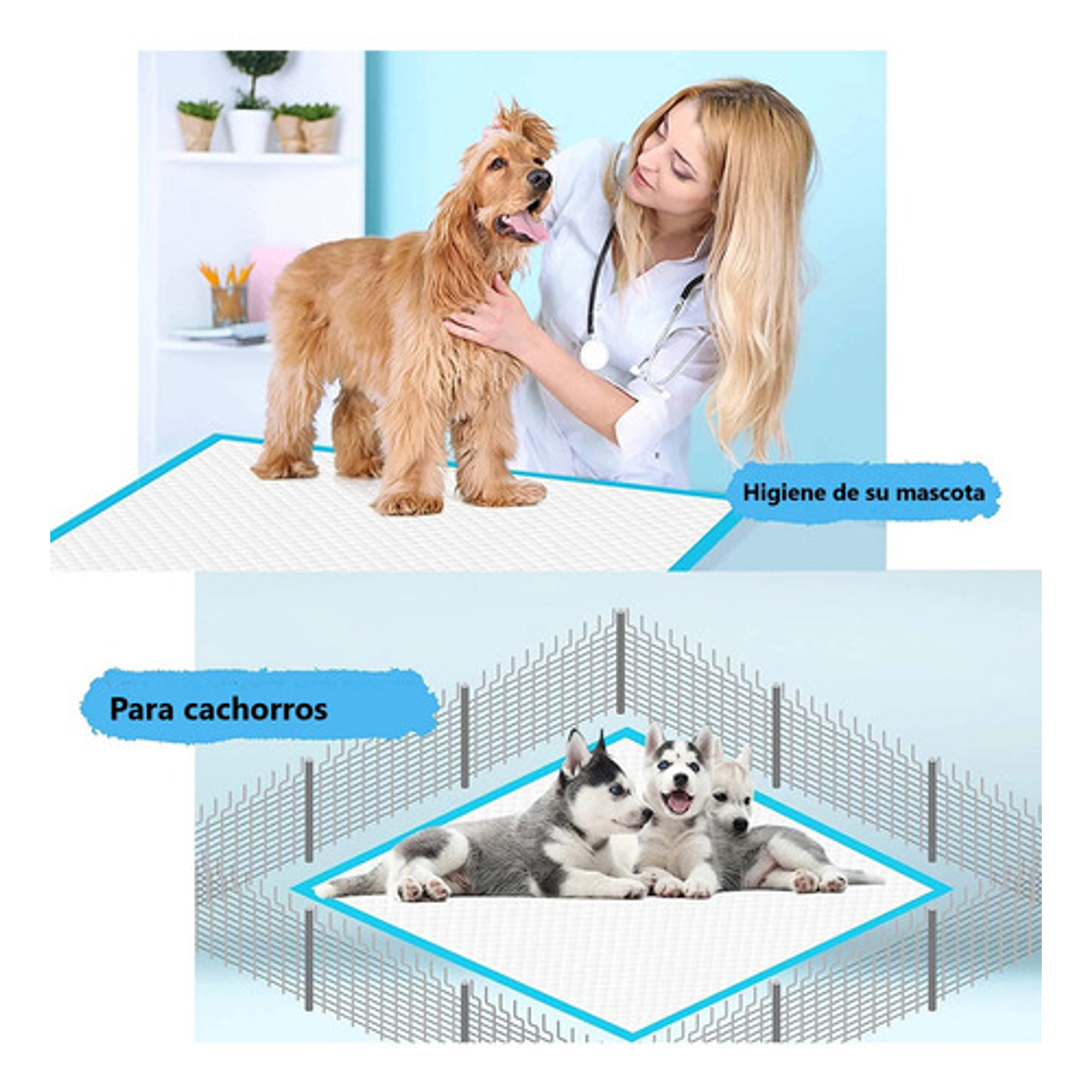 Pañal Para Perros Y De Entrenamiento Piso Absorbente 60x60 4