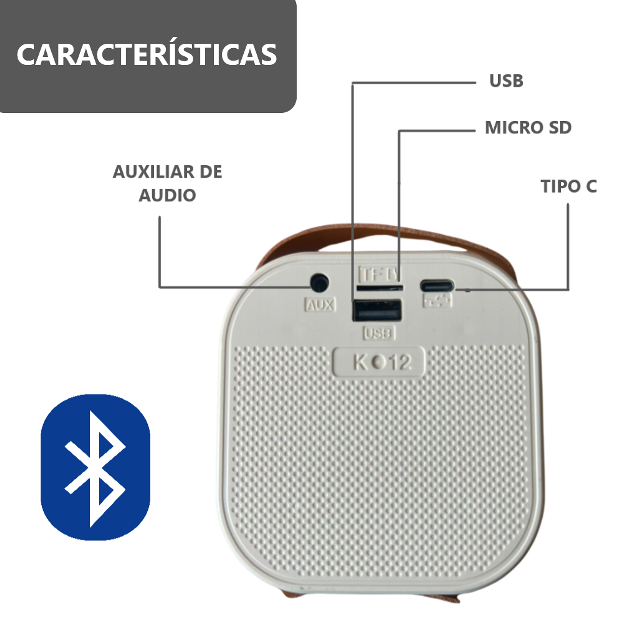 Parlante Bluetooth Karaoke con Micrófono  12