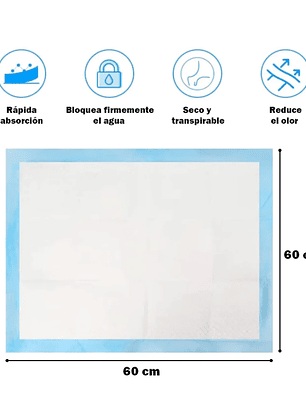 Pañales Piso Entrenamiento Absorbente 60x60