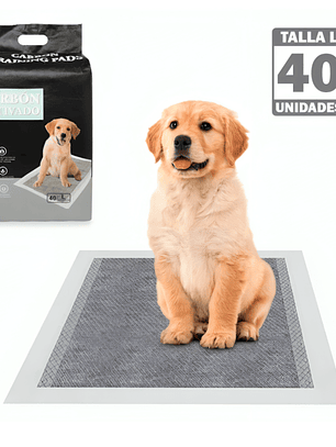 Pañales Piso Entrenamiento Absorbente 60x60