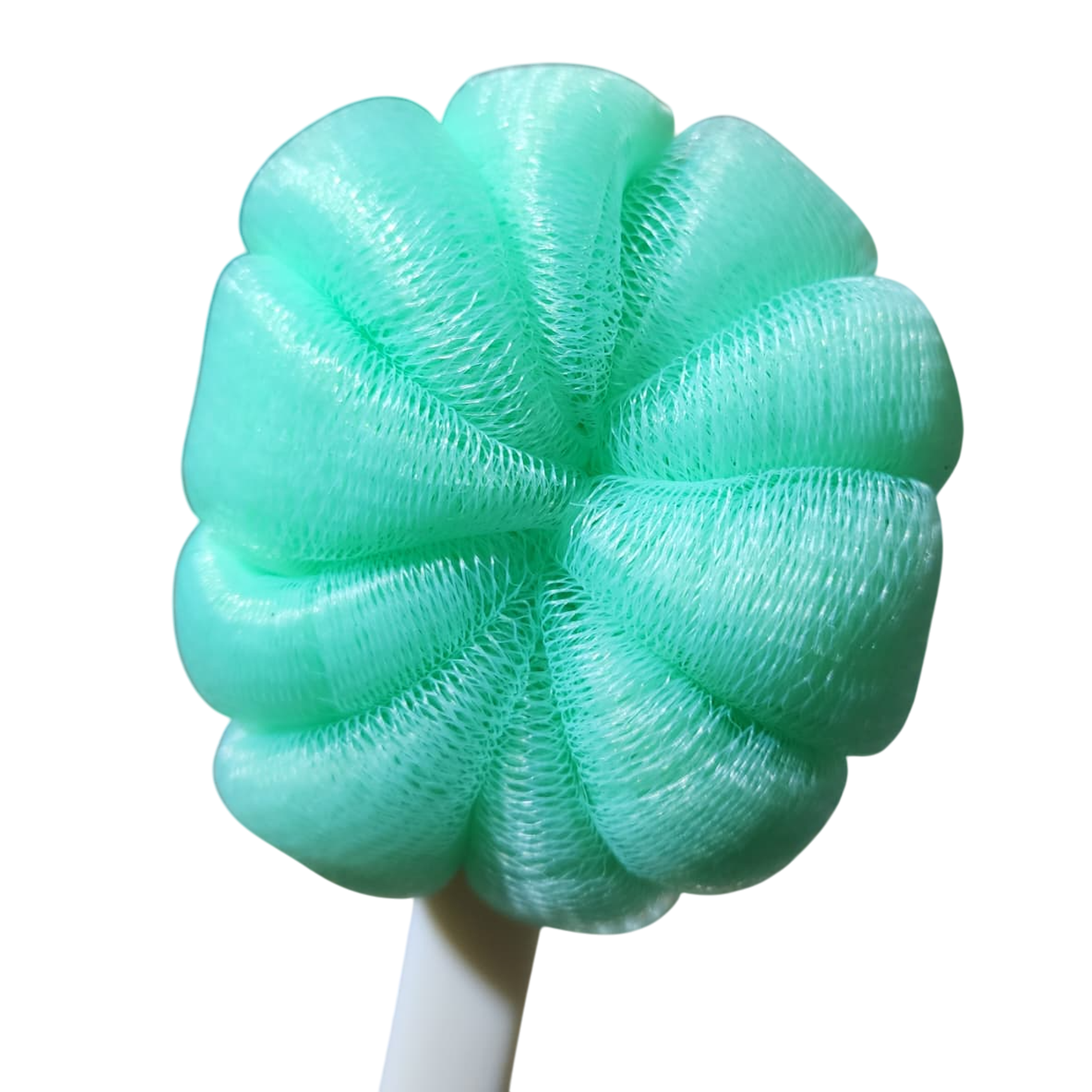 Cepillo para mano y guante 4