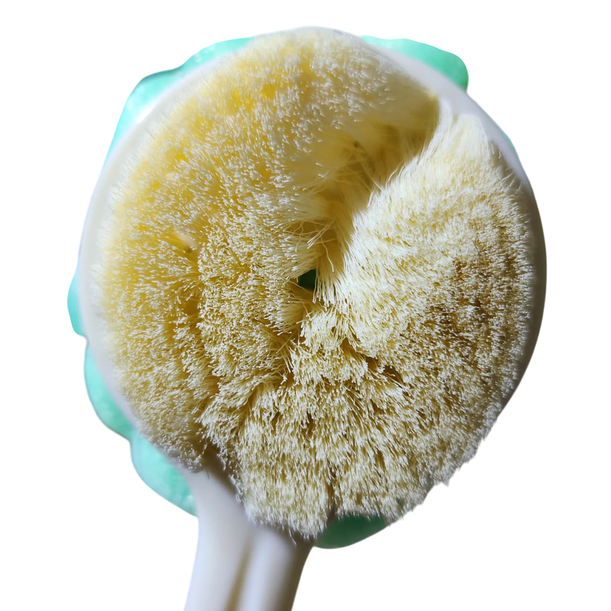 Cepillo para mano y guante 6