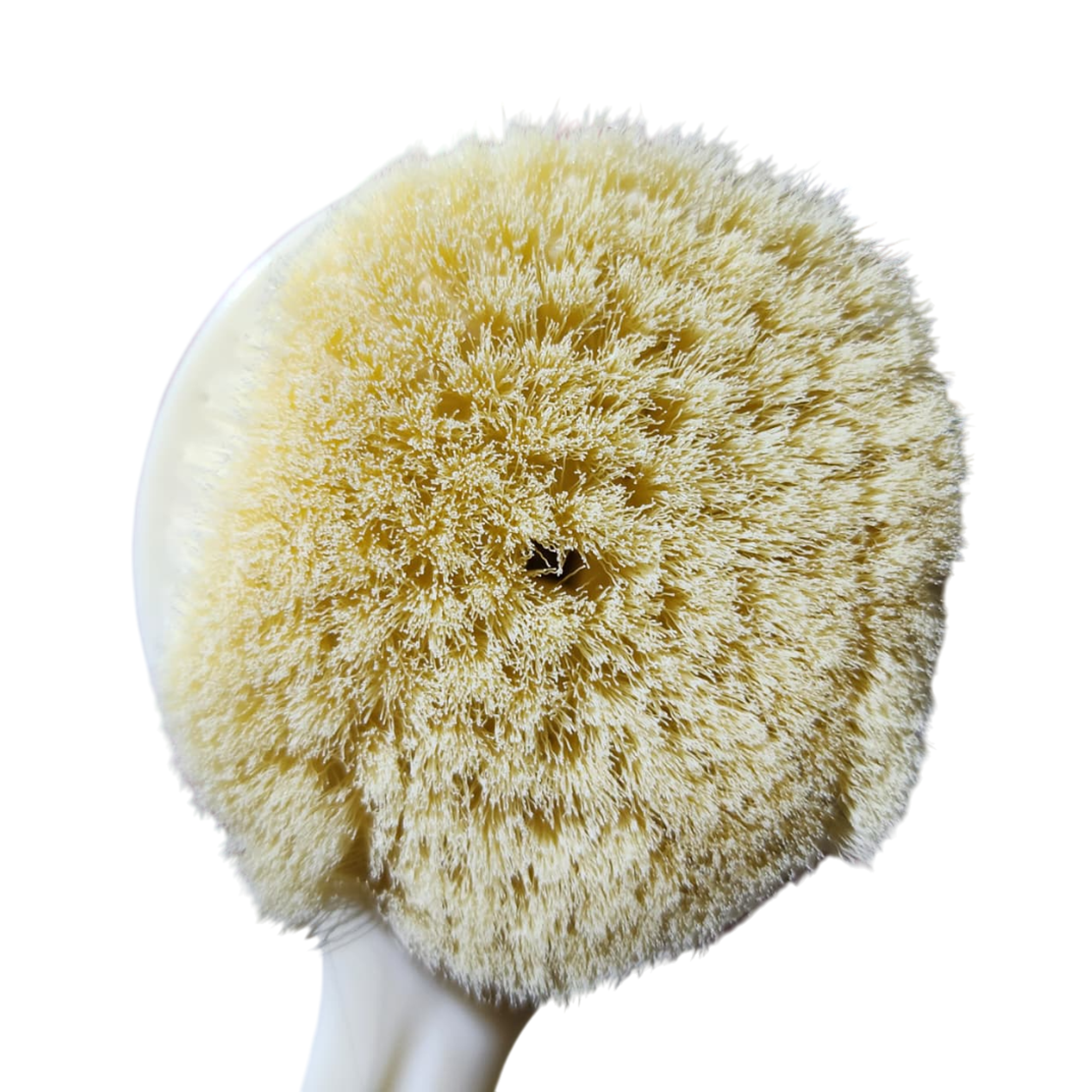 Cepillo para mano y guante 11