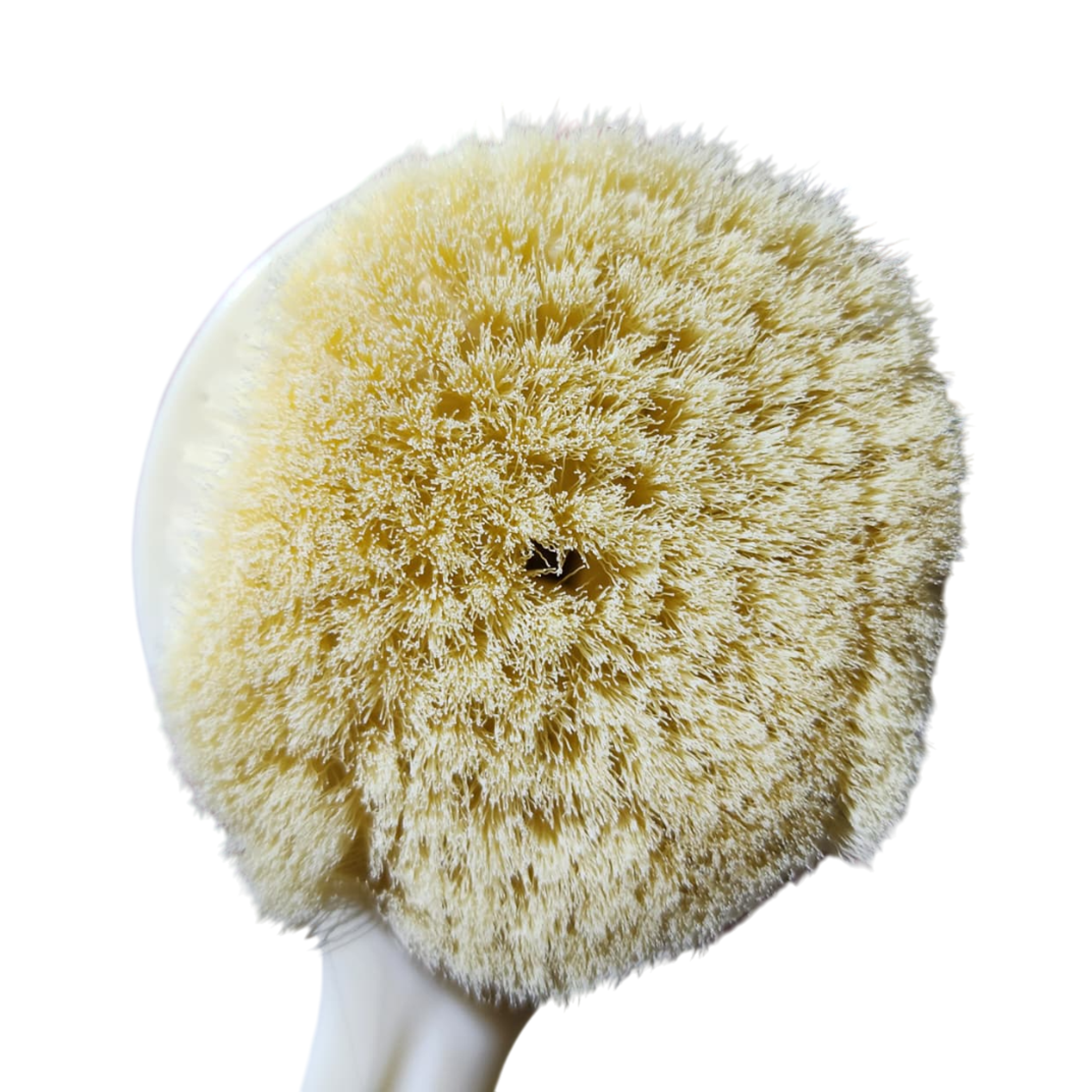 Cepillo para mano y guante 11