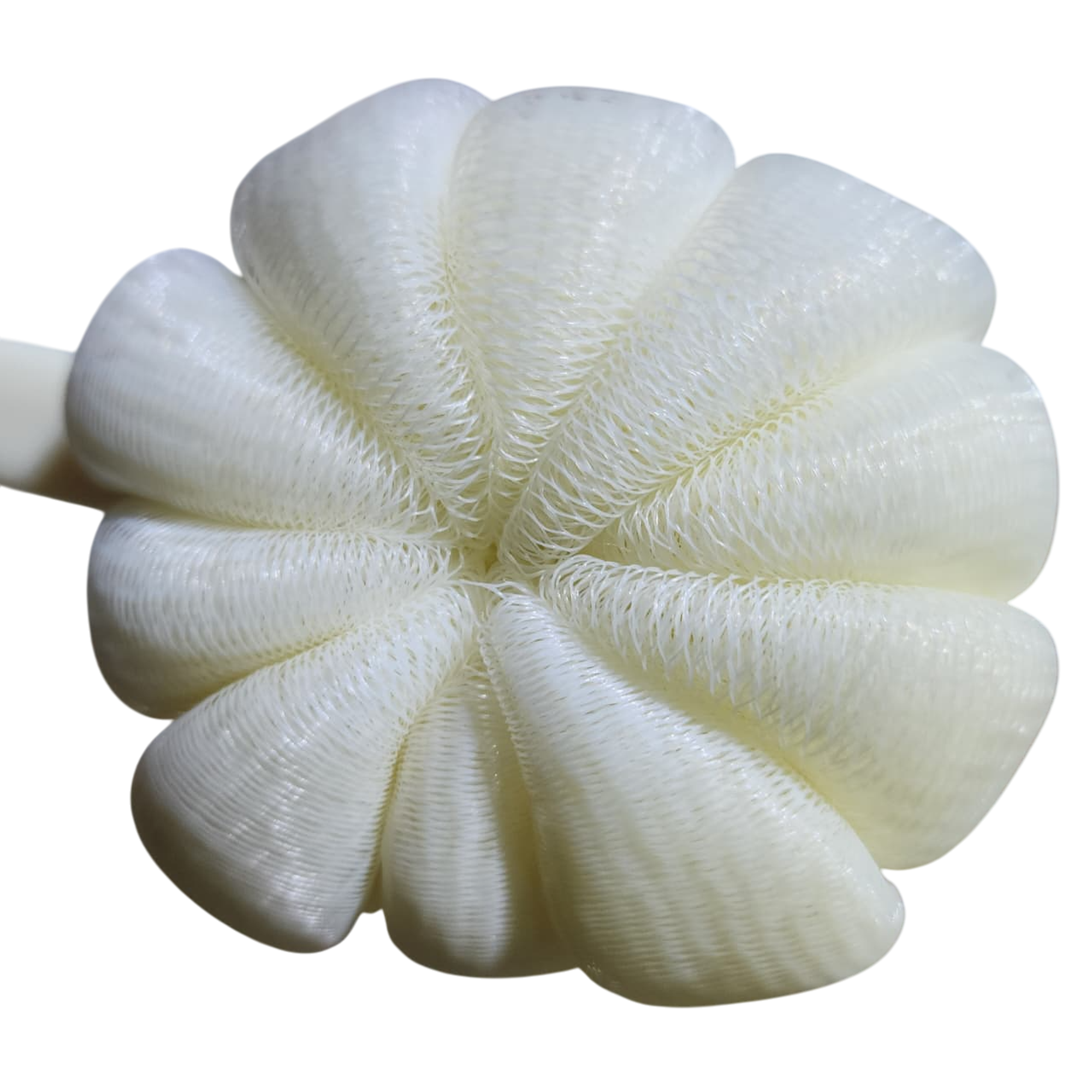 Cepillo para mano y guante 18