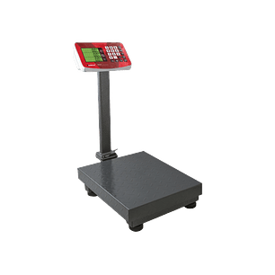 BASCULA PLATAFORMA PLEGABLE MARCA VINSON MODELO BAPLE-100