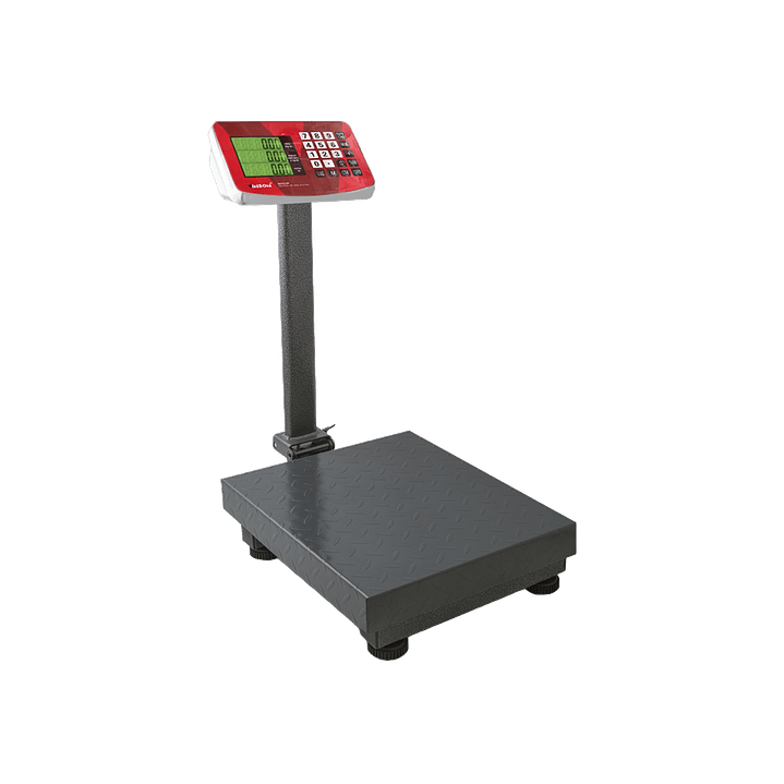 BASCULA PLATAFORMA PLEGABLE MARCA VINSON MODELO BAPLE-100 1