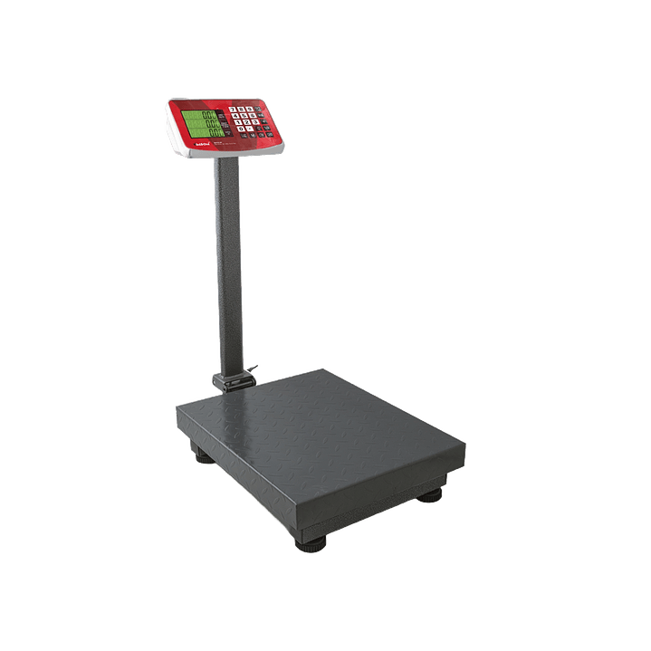 BASCULA DE PLATAFORMA PLEGABLE MARCA VINSON MODELO BAPLE-200  1