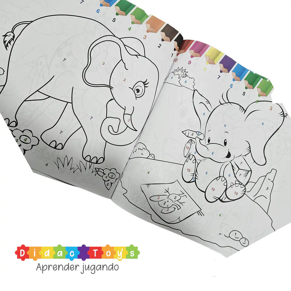 Pack Libros Educativos 8