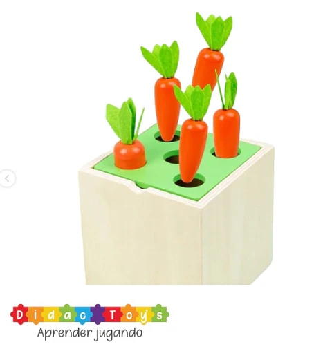 Caja 5 en 1  motricidad