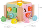 Caja motricidad multiencaje animales didactico - Miniatura 7