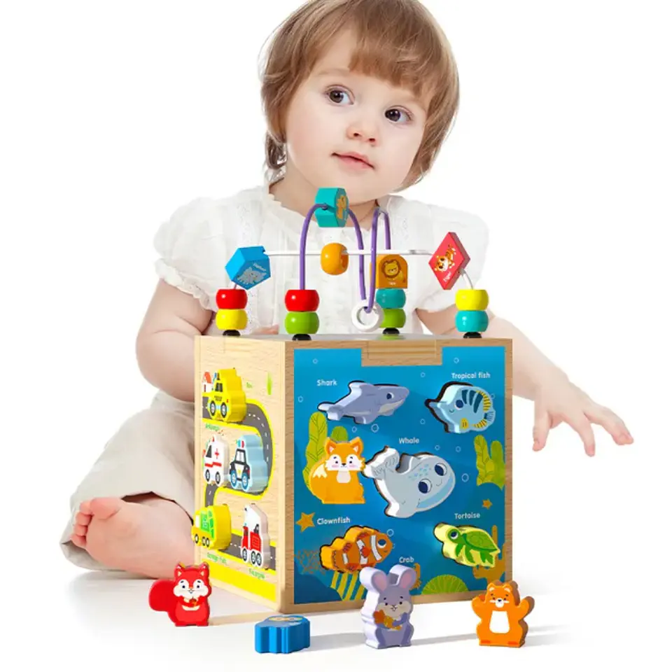 Caja multifuncional motriz  2