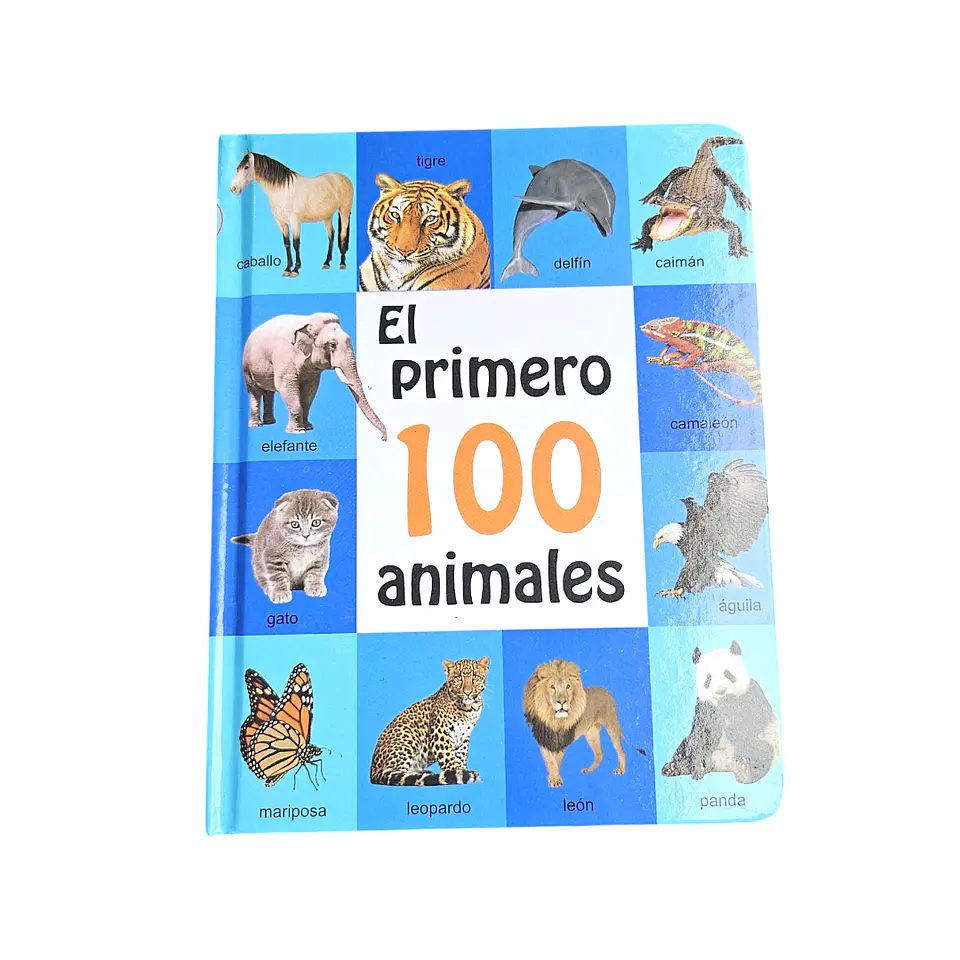 Libro mis primeras 100 palabras  1