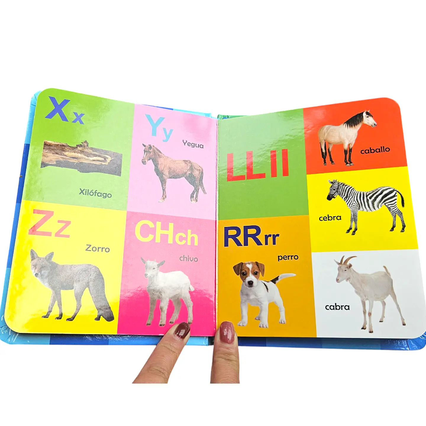 Libro mis primeras 100 palabras  3