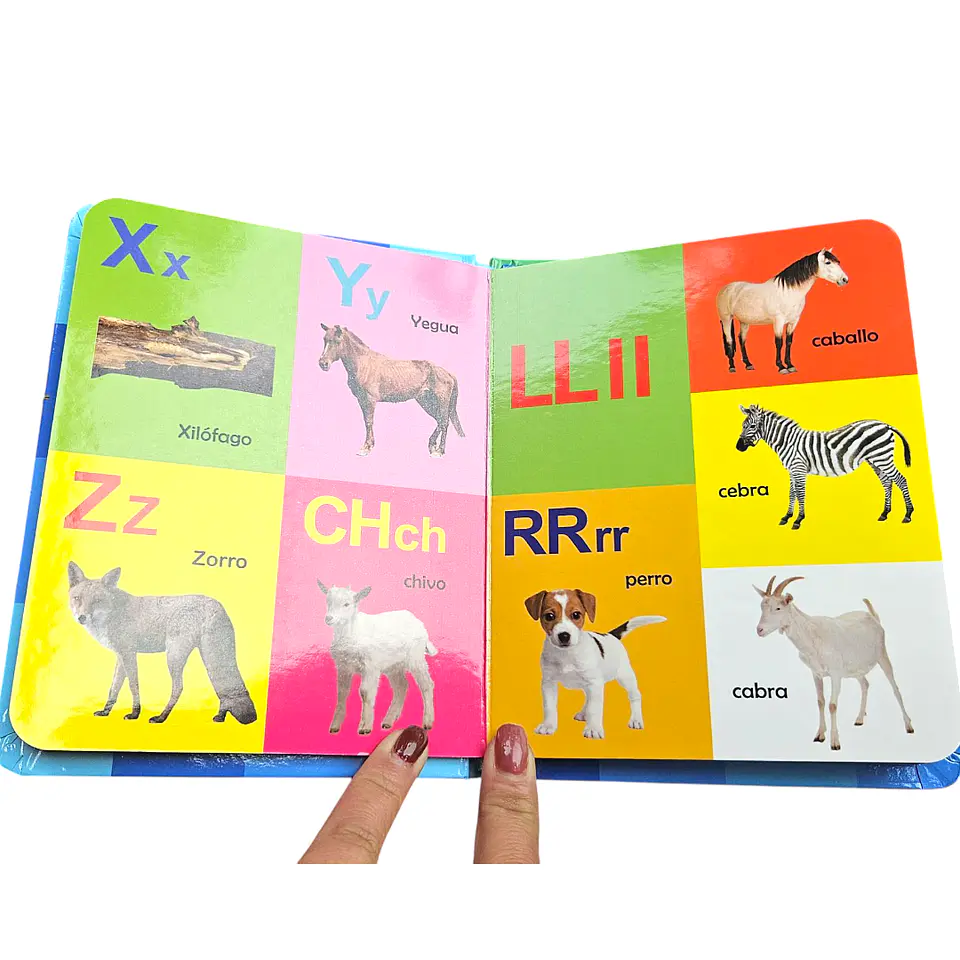 Libro mis primeras 100 palabras  3