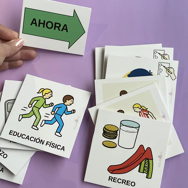 Panel de Anticipación XL 2