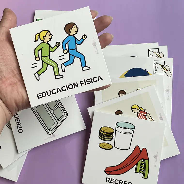 Panel de Anticipación XL 3