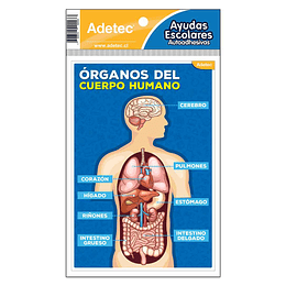 AYUDA ESCOLAR CUERPO HUMANO ADHESIVA