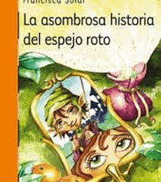 La asombrosa historia del espejo roto
