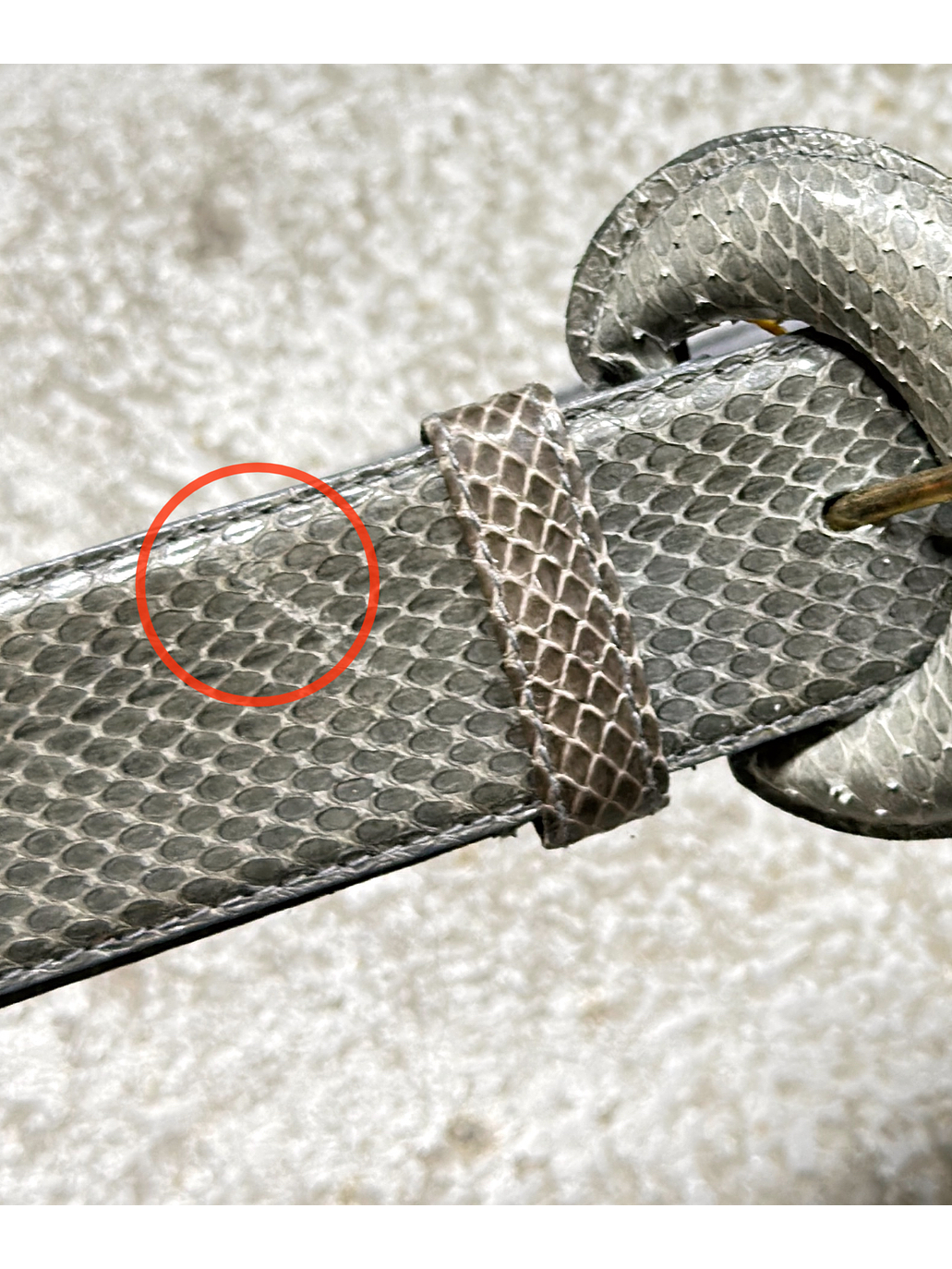 Cinturón de piel gris 5