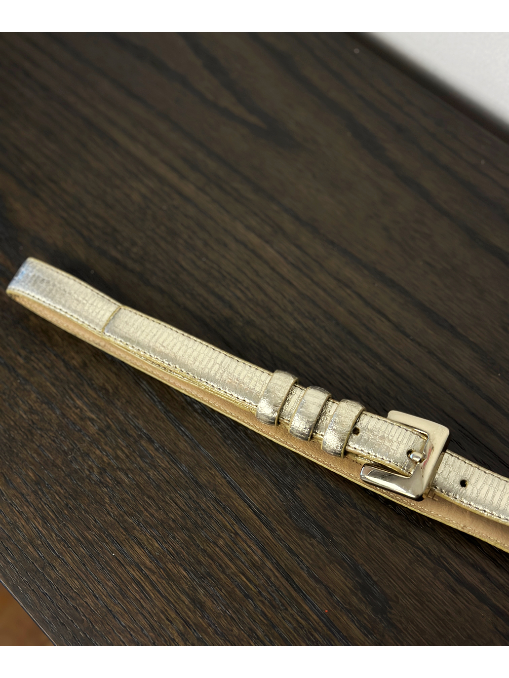 Cinturón metalizado textura piel 2