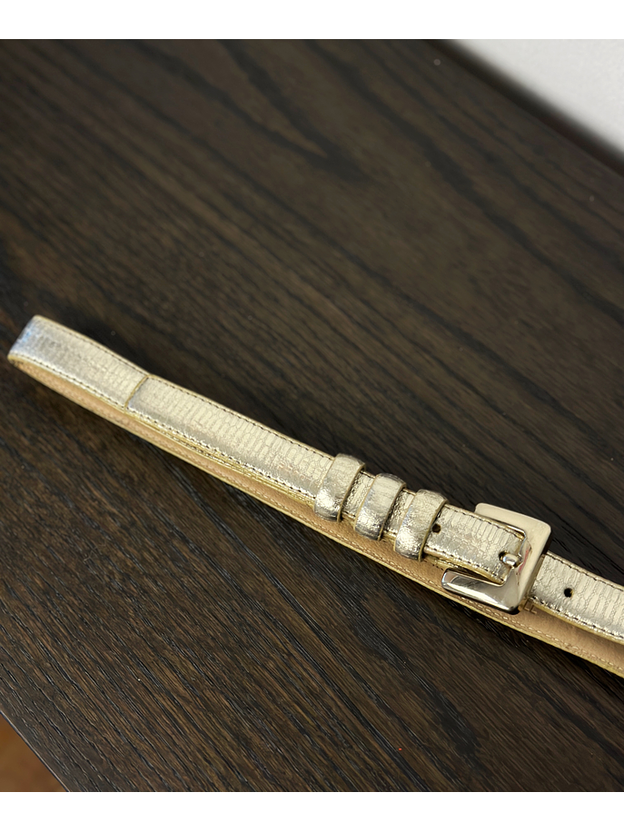 Cinturón metalizado textura piel 2