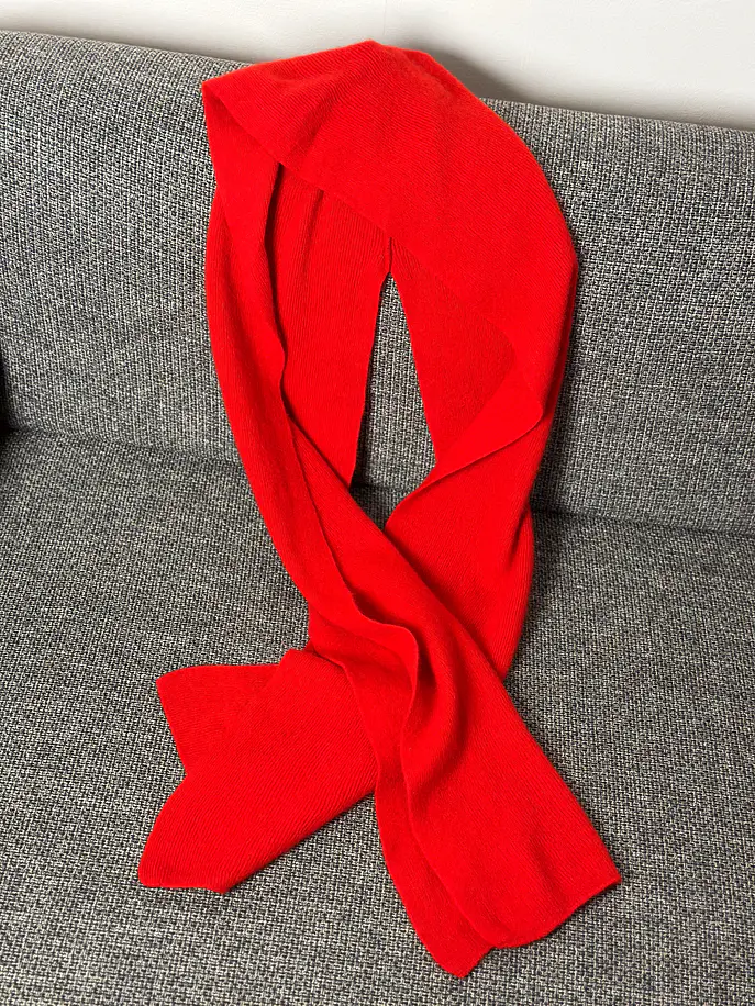 Capucha con bufanda roja 1