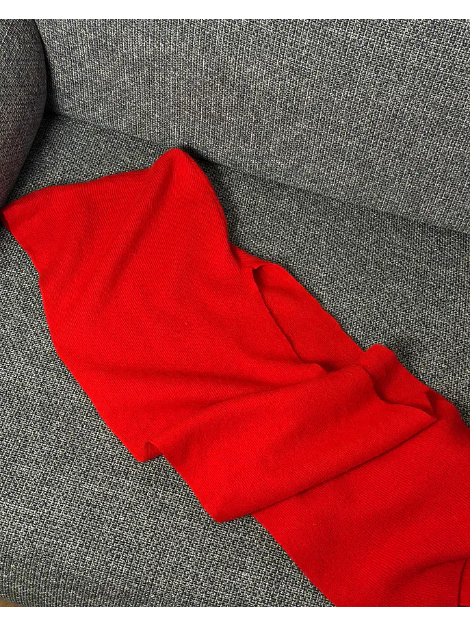 Capucha con bufanda roja 5