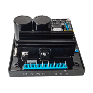 EVC800i Tarjeta Reguladora de Voltaje AVR 