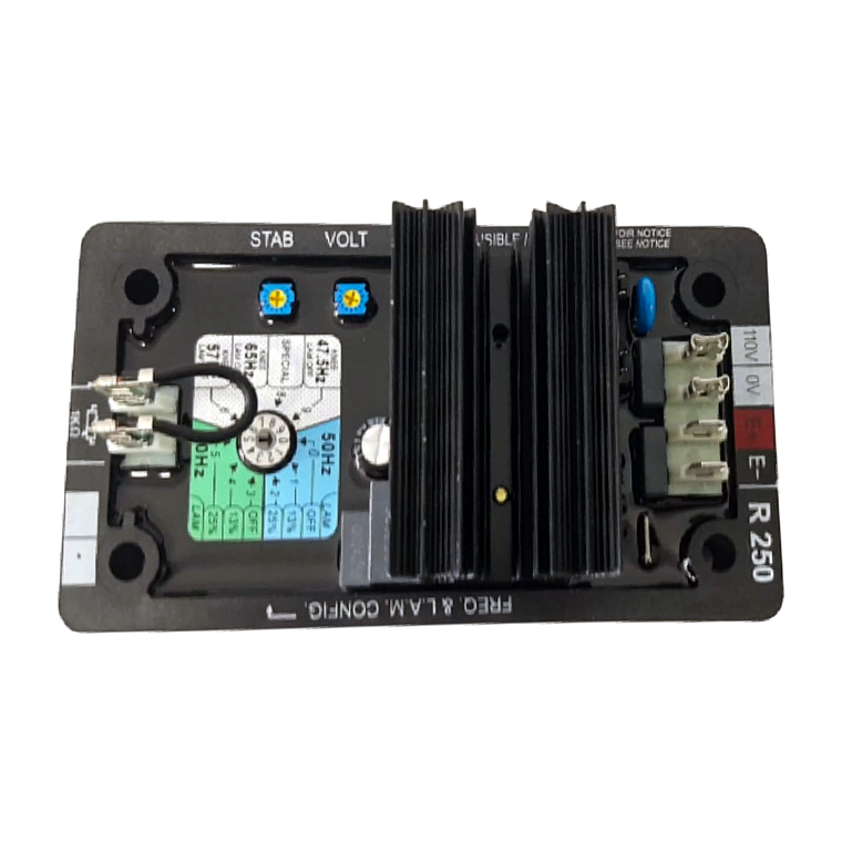 R250 Tarjeta Reguladora de Voltaje AVR Genérica 1